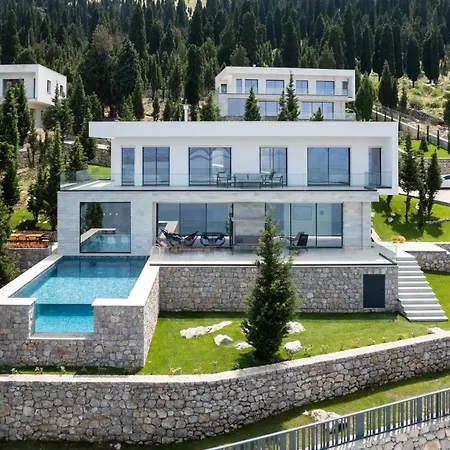 The Luxury Villa *