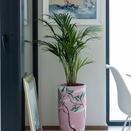 The Luxury By Pikhost Široka